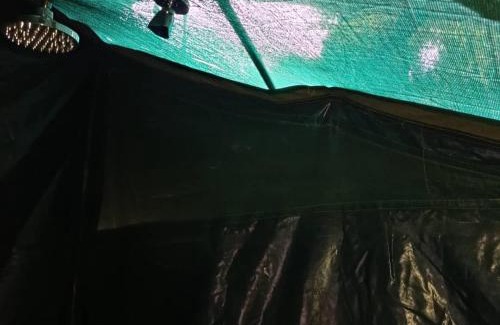 Moshi Other | MCF LUXURY Tents