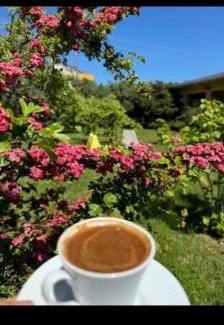 Demirkoy Hostel | Meşeliev Pansiyon