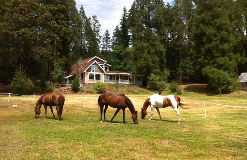 Prospect House | Meadow House near Crater Lake South entrance, upper Rogue River, 100 acre trails