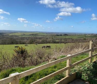 Haverfordwest House | Meadow View