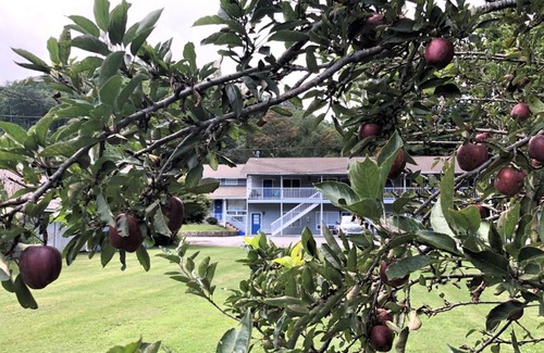 Maggie Valley Hotel | Meadowlark Motel with Restaurant & Bar