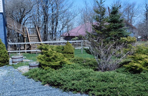 Banner Elk House | Meadowview Manor GREAT location! Pet friendly with a fee - TM8