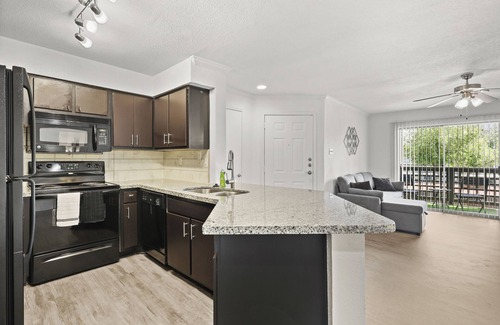 Astrodome Apartment | Med Center Apt Near NRG