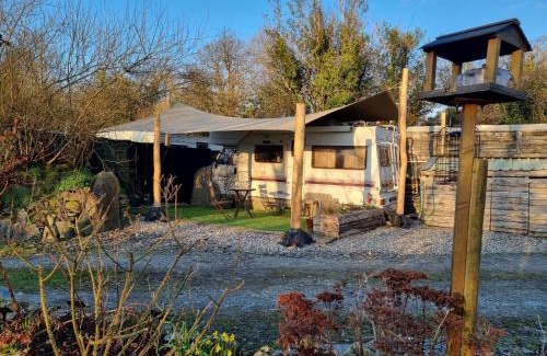 Crymych Other | Mehefin Coed c/o llwyn Celyn