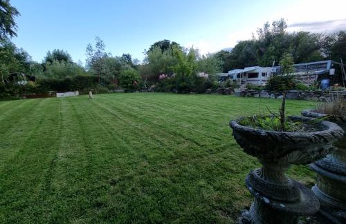 Crymych Other | Mehefin Coed c/o llwyn Celyn