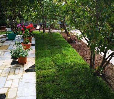 Split Apartment | Meje Apartments