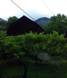Borjomi Apartment | Melano apatment