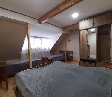 Borjomi Apartment | Melano apatment