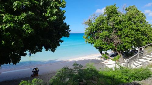 Worthing Apartment | Melrose Beach Apartments Inc
