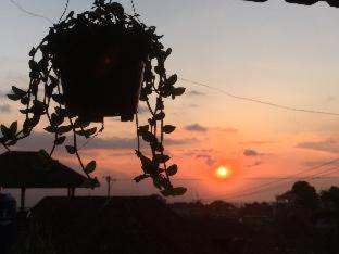 Munduk House | Meme Surung Guesthouse