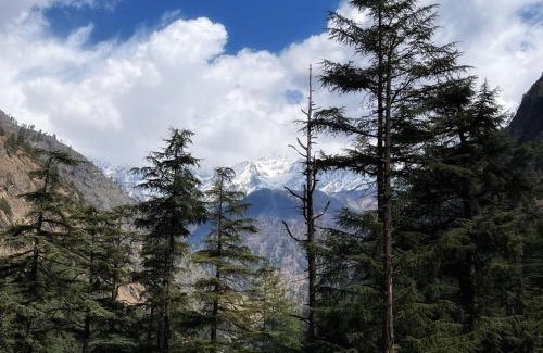 Kasol House | Memoir Homestay