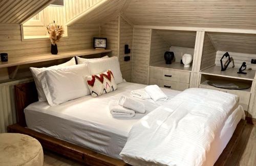 Karpenisi Apartment | Memories Apartments - Σοφίτα με τζάκι στο Καρπενήσι.