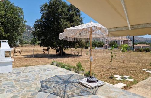 Kolaitis House | MemRo Village House
