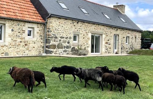Plouec-du-Trieux House | Menhirs et Moutons Ouessant