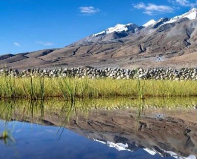 Leh Other | Mentsel Merak Pangong Lake