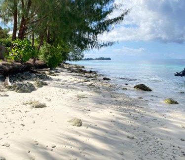 Raja Ampat House | Meosbahomestay