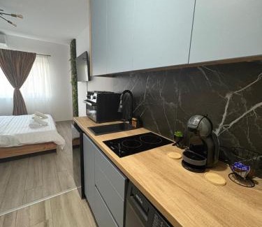 Timisoara Apartment | MER Apartment !