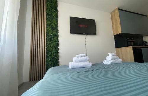 Timisoara Apartment | MER Apartment !