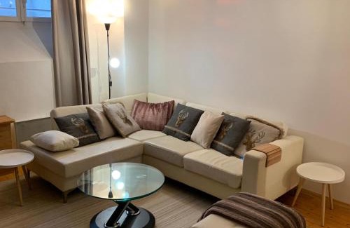 Les Tines Apartment | Mer de Glace
