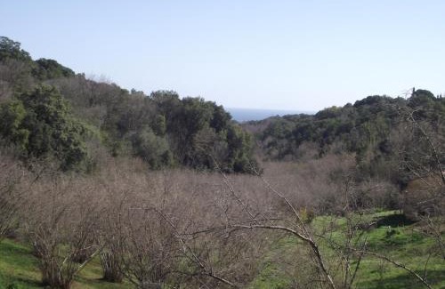Cervione House | mer et campagne