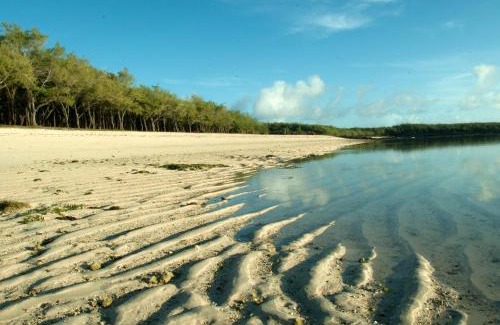 Coromandel House | Merlin Guest House