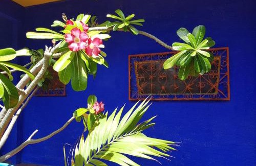 Canoa Quebrada House | Mermaid House, kitchen, Wi-Fi, parking, centre 5 minutes on foot and near Sunset Dune