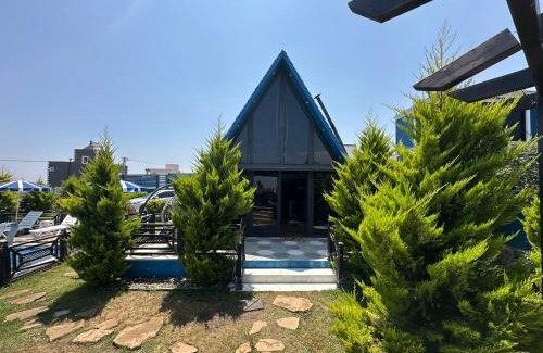 Ayas Other | Mersin Erdeml