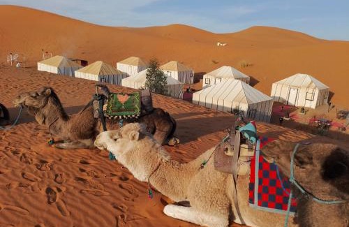 Merzouga Other | Merzouga Wildlife Desert Camp
