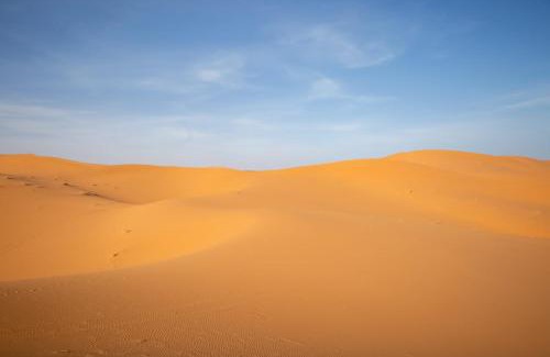 Merzouga Other | Merzouga Wildlife Desert Camp