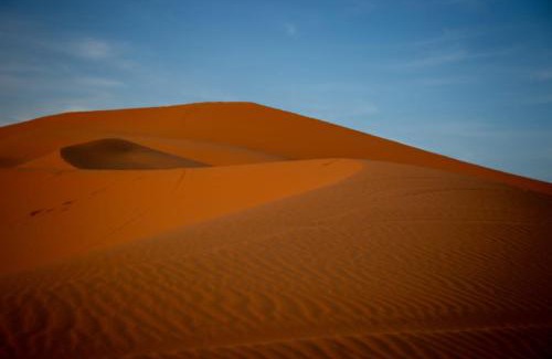Merzouga Other | Merzouga Wildlife Desert Camp