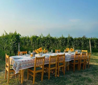 Telavi Villa | Mestvireni
