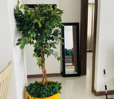 Eden Gardens Apartment | Metcalfe Two Bedroom Suite