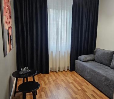 Cluj-Napoca City Centre Apartment | Meteor Central