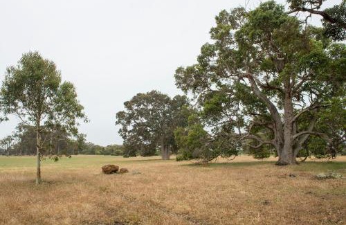 Wilyabrup House | Metricup House - elegant country retreat