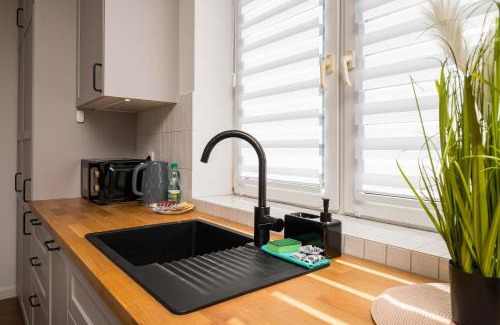 Srodmiescie Połnocne Apartment | Metro Świętokrzyska Loft Apartment