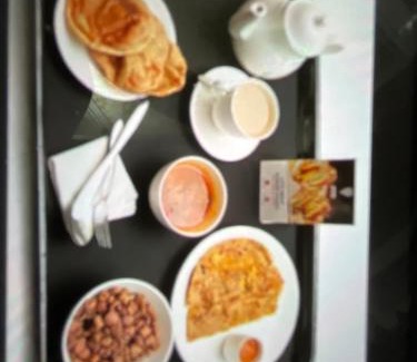 Nathdwara Hotel | METRO HOTEL Nathdwara , 500mtr 10min walking from shreenathji temple 966o9o1oo6
