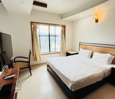 Nathdwara Hotel | METRO HOTEL Nathdwara , 500mtr 10min walking from shreenathji temple 966o9o1oo6