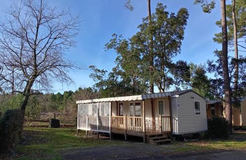 Saint-Julien-en-Born Other | MH 201 AGREABLE et tout ÉQUIPÉ 2CH dont suite parentale et 2sdb avec vue sur foret dans camping 4 étoiles