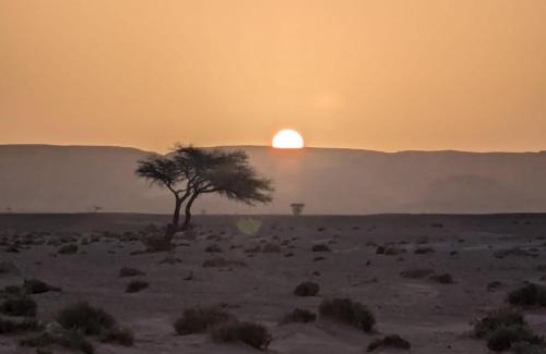 M'Hamid El Ghizlane Other | Mhamid Sahara Camp - Mhamid El Ghizlane