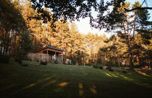 Alytus county House | Miško kraštas