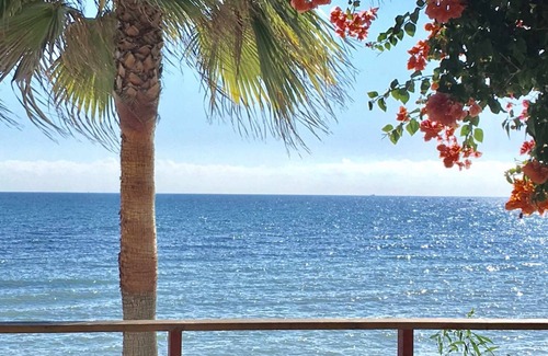 Sitio de Calahonda Apartment | Mi Capricho 170 Beachfront Apartment