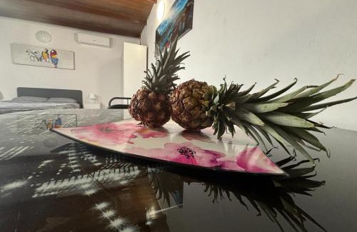 Valle de San Lorenzo House | Mi casita Tenerife Sur Free WIFI e AC