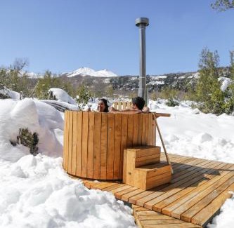 Pinto Cabin | MI Lodge Las Trancas Hotel & Spa