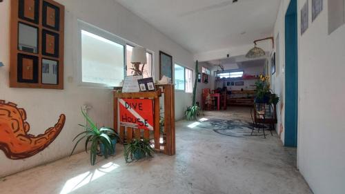 Colonia Centro House | Mi Refugio Dive House