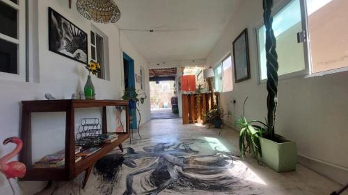 Colonia Centro House | Mi Refugio Dive House
