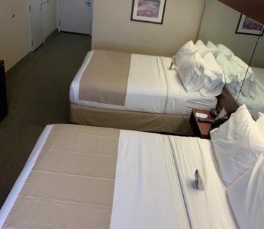 Hattiesburg Hotel | Microtel Inn & Suites by Wyndham Hattiesburg