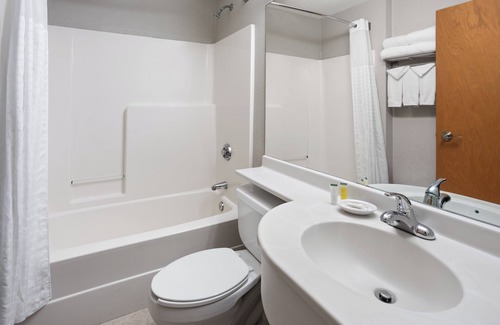 Thurston Hotel | Microtel Inn & Suites by Wyndham Ann Arbor