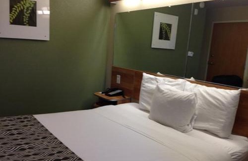 Saraland Hotel | Microtel Inn & Suites by Wyndham Saraland