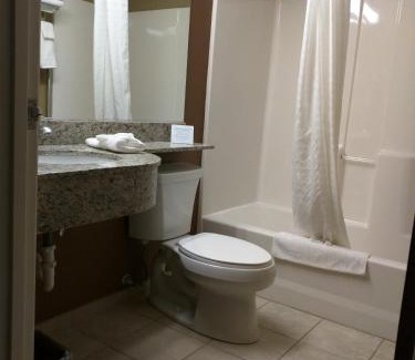 Minot Hotel | Microtel Inn & Suites by Wyndham Minot