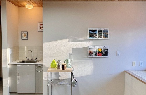 South Addition House | Mid-Century Gem by Local Artist. Heart of Downtown Location!